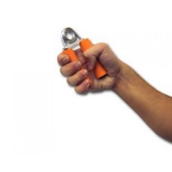 Flexori pentru antebrat